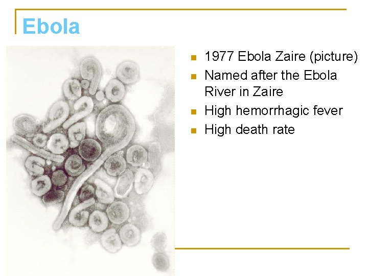 Ebola n n 1977 Ebola Zaire (picture) Named after the Ebola River in Zaire