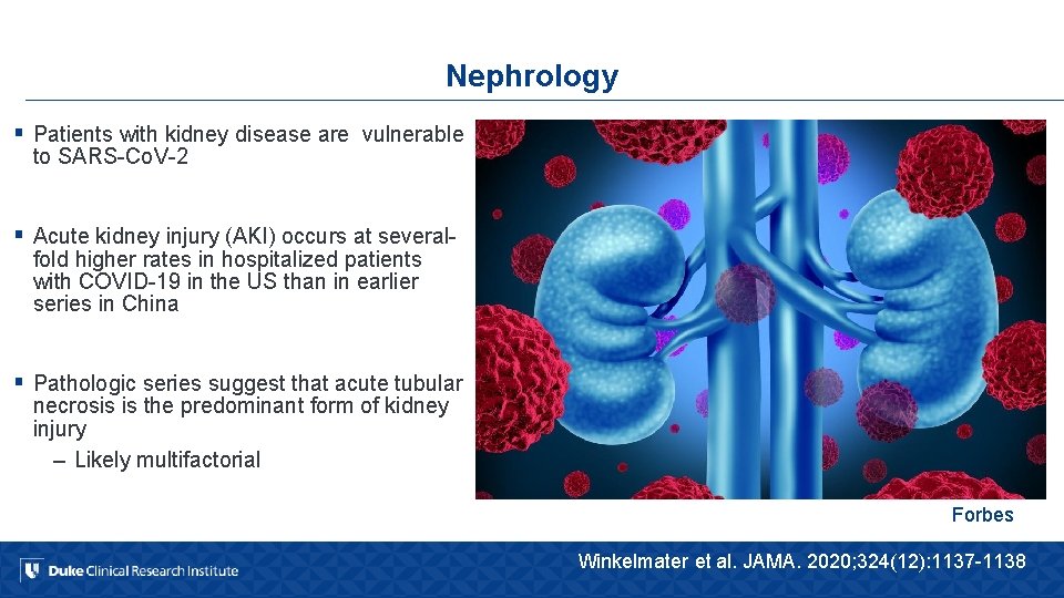 Nephrology § Patients with kidney disease are vulnerable to SARS-Co. V-2 § Acute kidney