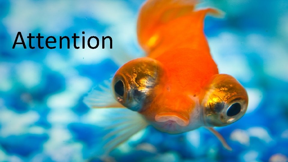 Attention 