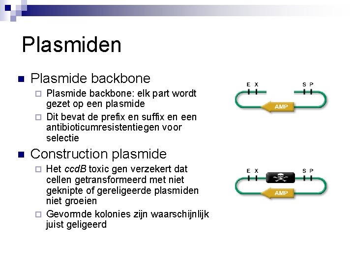 Plasmiden n Plasmide backbone: elk part wordt gezet op een plasmide ¨ Dit bevat