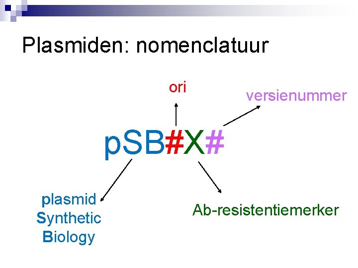 Plasmiden: nomenclatuur ori versienummer p. SB#X# plasmid Synthetic Biology Ab-resistentiemerker 