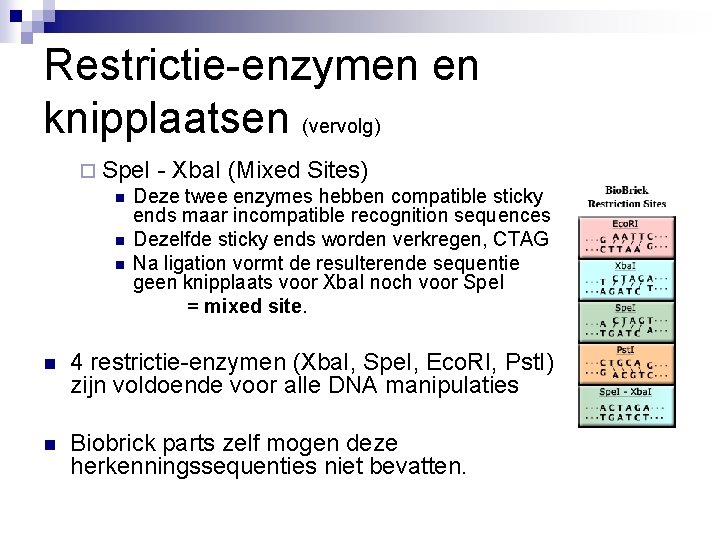 Restrictie-enzymen en knipplaatsen (vervolg) ¨ Spe. I - Xba. I (Mixed Sites) n Deze