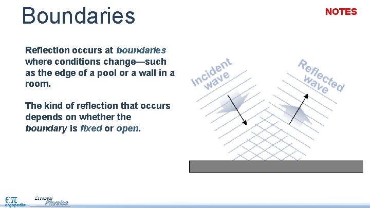 Boundaries Reflection occurs at boundaries where conditions change—such as the edge of a pool