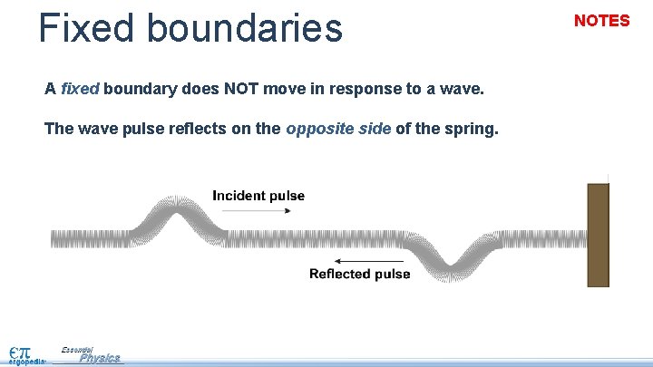 Fixed boundaries A fixed boundary does NOT move in response to a wave. The