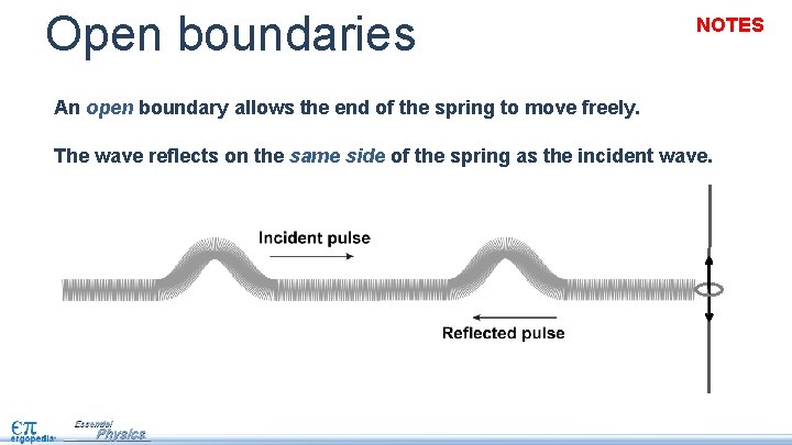 Open boundaries NOTES An open boundary allows the end of the spring to move