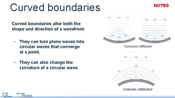 Curved boundaries alter both the shape and direction of a wavefront. • They can