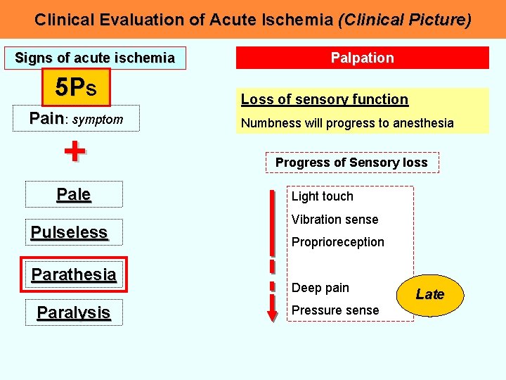 Clinical Evaluation of Acute Ischemia (Clinical Picture) Signs of acute ischemia 5 Ps Pain:
