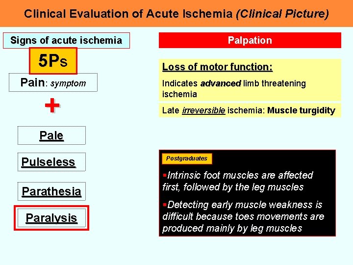 Clinical Evaluation of Acute Ischemia (Clinical Picture) Signs of acute ischemia 5 Ps Pain: