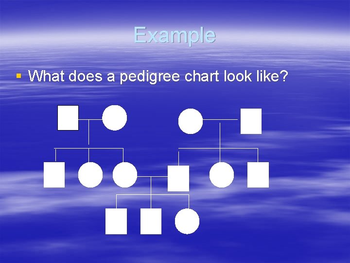 Example § What does a pedigree chart look like? 