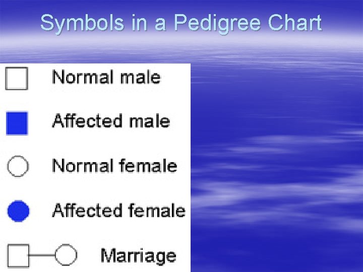 Symbols in a Pedigree Chart 
