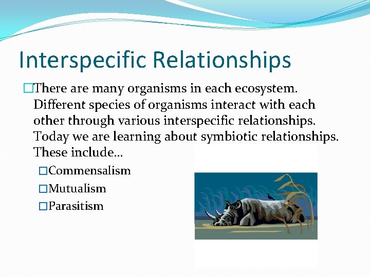 Interspecific Relationships �There are many organisms in each ecosystem. Different species of organisms interact