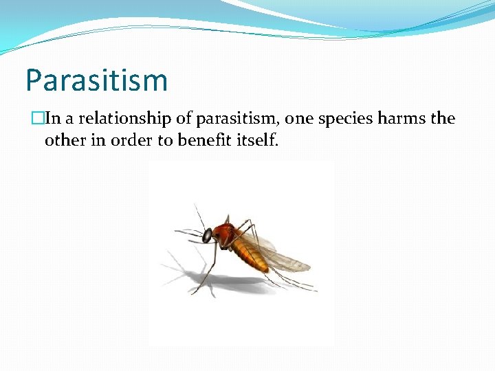 Parasitism �In a relationship of parasitism, one species harms the other in order to