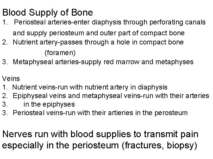 Blood Supply of Bone 1. Periosteal arteries-enter diaphysis through perforating canals and supply periosteum