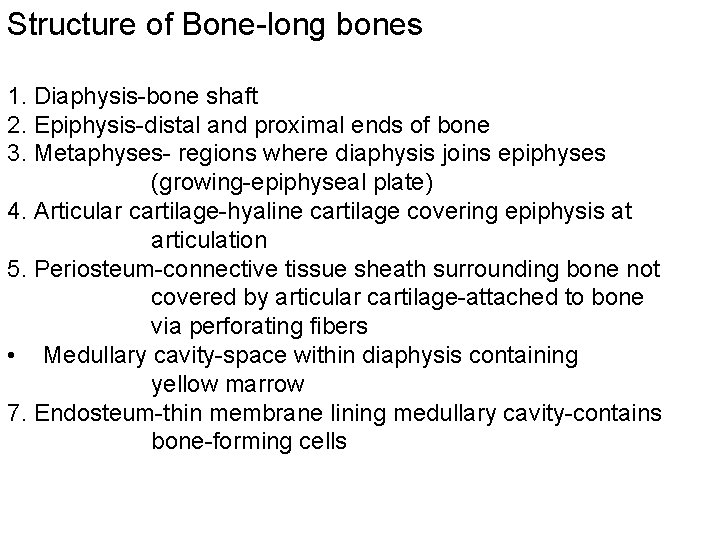 Structure of Bone-long bones 1. Diaphysis-bone shaft 2. Epiphysis-distal and proximal ends of bone
