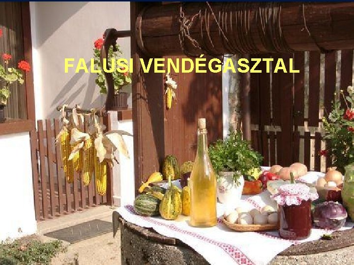 FALUSI VENDÉGASZTAL 