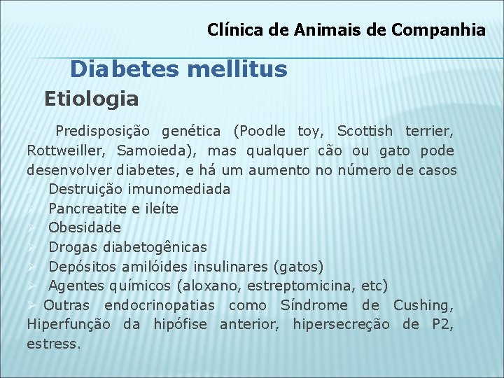 Clínica de Animais de Companhia Diabetes mellitus Etiologia Ø Predisposição genética (Poodle toy, Scottish