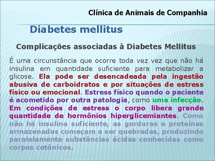 Clínica de Animais de Companhia Diabetes mellitus Complicações associadas à Diabetes Mellitus É uma