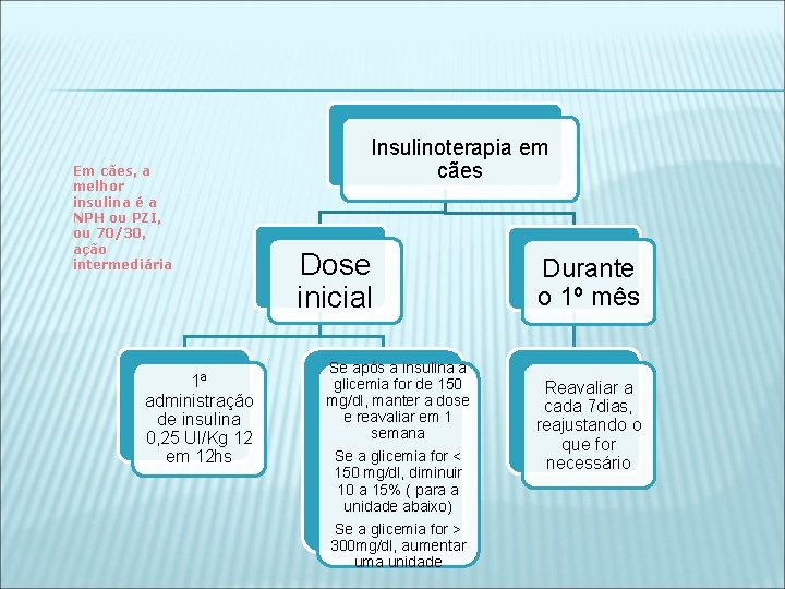 Em cães, a melhor insulina é a NPH ou PZI, ou 70/30, ação intermediária