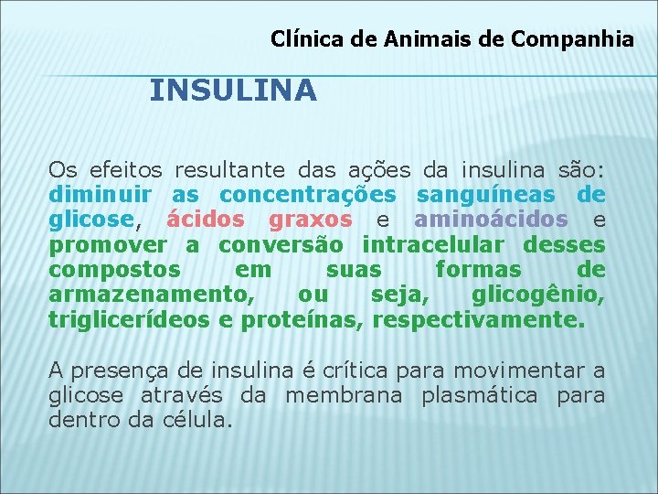 Clínica de Animais de Companhia INSULINA Os efeitos resultante das ações da insulina são: