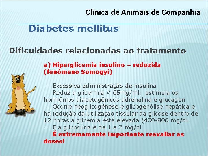 Clínica de Animais de Companhia Diabetes mellitus Dificuldades relacionadas ao tratamento a) Hiperglicemia insulino