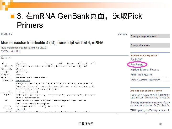 n 3. 在m. RNA Gen. Bank页面，选取Pick Primers 生物信息学 15 