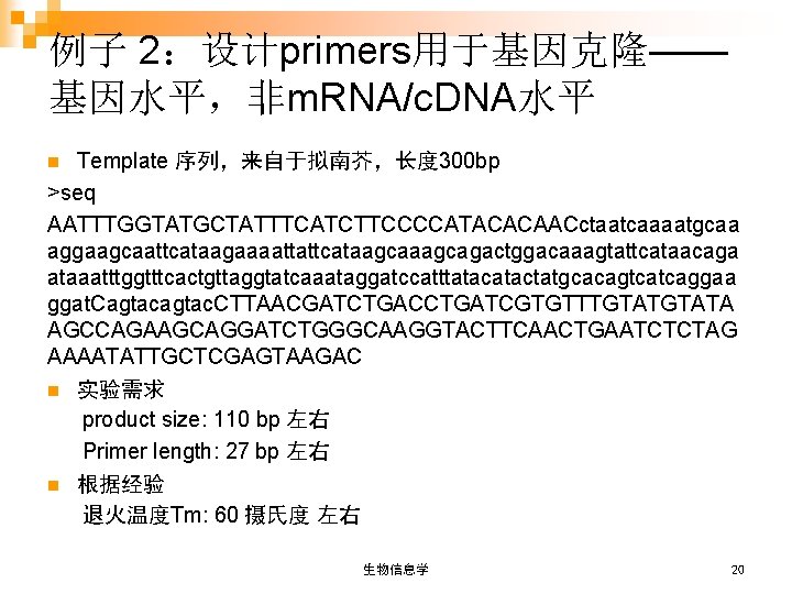 例子 2：设计primers用于基因克隆—— 基因水平，非m. RNA/c. DNA水平 Template 序列，来自于拟南芥，长度 300 bp >seq AATTTGGTATGCTATTTCATCTTCCCCATACACAACctaatcaaaatgcaa aggaagcaattcataagaaaattattcataagcagactggacaaagtattcataacaga ataaatttggtttcactgttaggtatcaaataggatccatttatactatgcacagtcatcaggaa ggat.