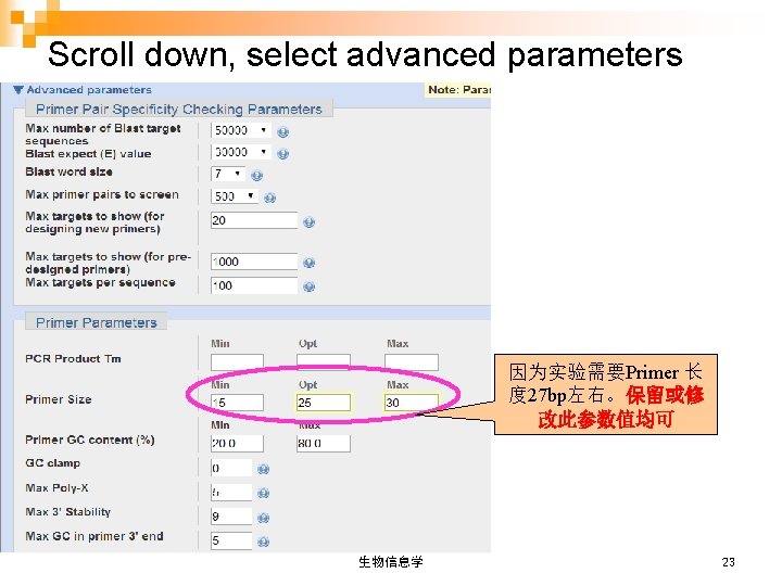 Scroll down, select advanced parameters 因为实验需要Primer 长 度 27 bp左右。保留或修 改此参数值均可 生物信息学 23 