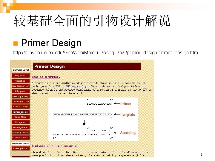 较基础全面的引物设计解说 n Primer Design http: //bioweb. uwlax. edu/Gen. Web/Molecular/seq_anal/primer_design. htm 生物信息学 6 