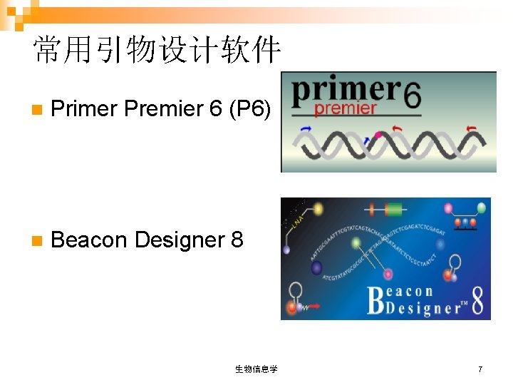 常用引物设计软件 n Primer Premier 6 (P 6) n Beacon Designer 8 生物信息学 7 