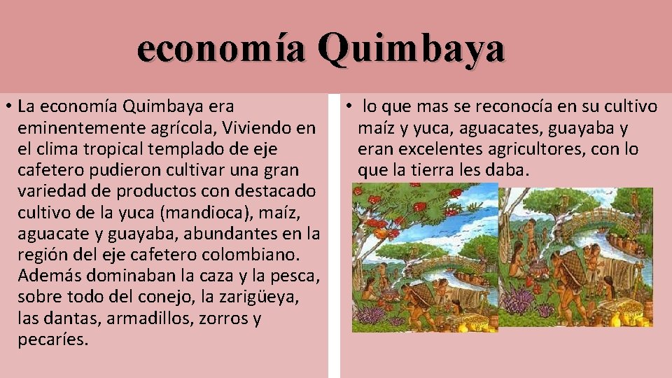 economía Quimbaya • La economía Quimbaya era eminentemente agrícola, Viviendo en el clima tropical