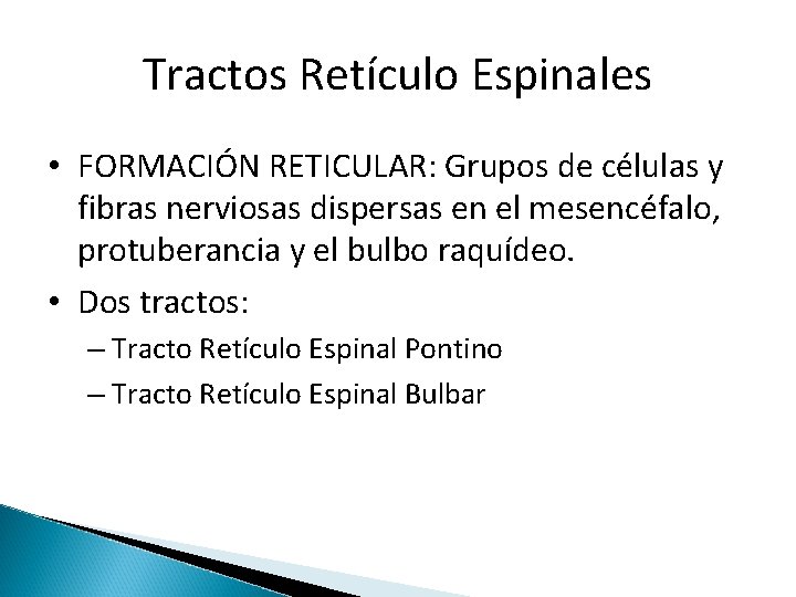 Tractos Retículo Espinales • FORMACIÓN RETICULAR: Grupos de células y fibras nerviosas dispersas en