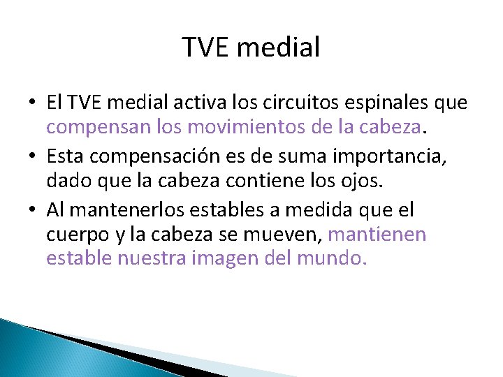TVE medial • El TVE medial activa los circuitos espinales que compensan los movimientos
