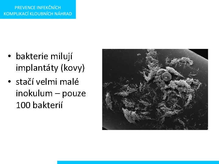  • bakterie milují implantáty (kovy) • stačí velmi malé inokulum – pouze 100