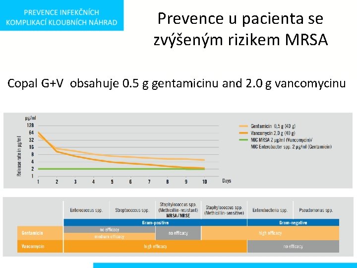 Prevence u pacienta se zvýšeným rizikem MRSA Copal G+V obsahuje 0. 5 g gentamicinu