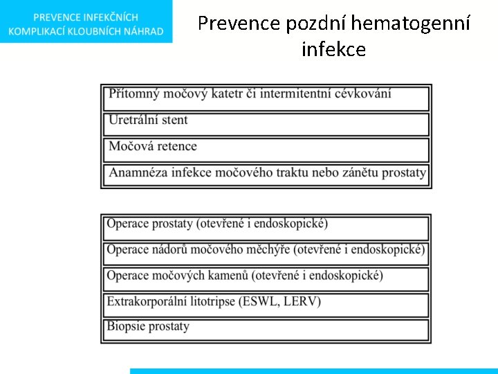 Prevence pozdní hematogenní infekce 