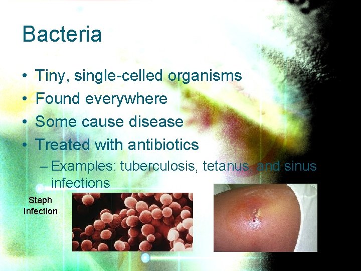 Bacteria • • Tiny, single-celled organisms Found everywhere Some cause disease Treated with antibiotics