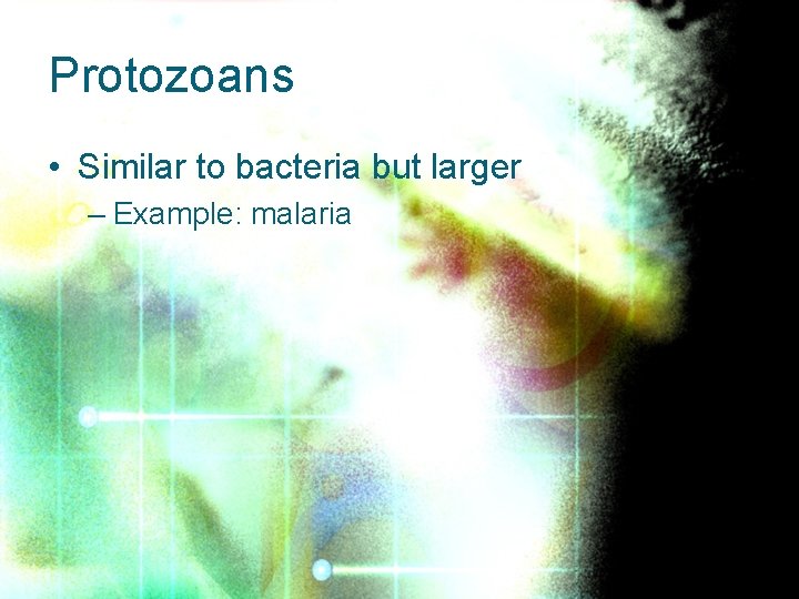 Protozoans • Similar to bacteria but larger – Example: malaria 