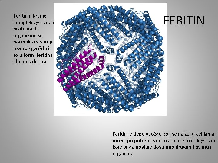 Feritin u krvi je kompleks gvožđa i proteina. U organizmu se normalno stvaraju rezerve