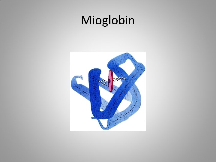 Mioglobin 