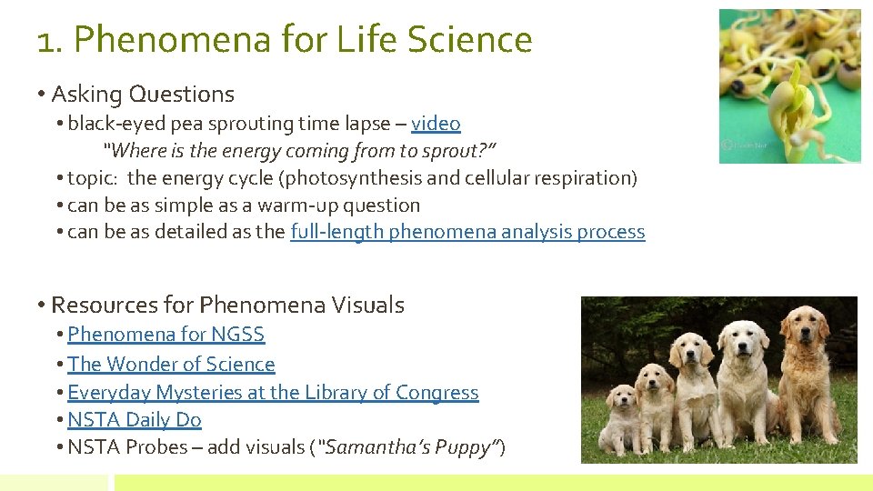 Life Science Virtual Labs Betsy Sanford Lost Mountain