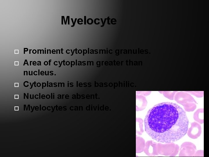 Myelocyte Prominent cytoplasmic granules. Area of cytoplasm greater than nucleus. Cytoplasm is less basophilic.