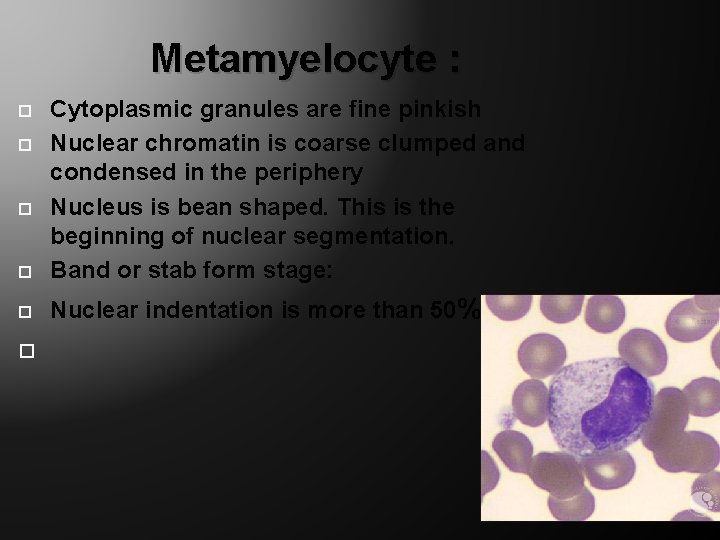 Metamyelocyte : Cytoplasmic granules are fine pinkish Nuclear chromatin is coarse clumped and condensed