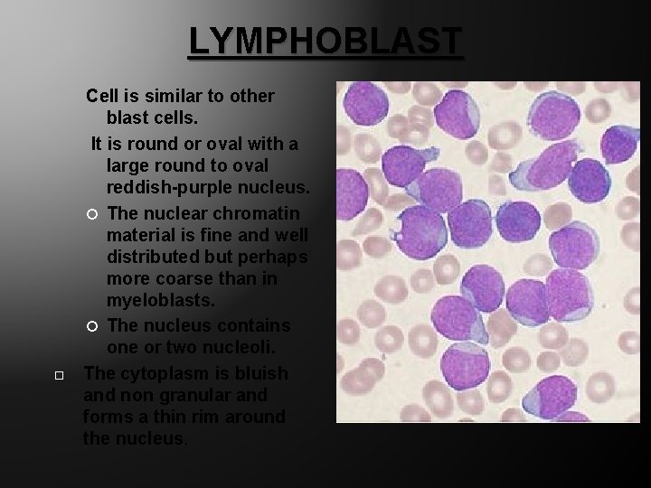 LYMPHOBLAST Cell is similar to other blast cells. It is round or oval with