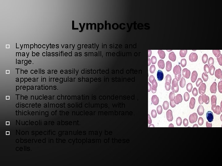 Lymphocytes Lymphocytes vary greatly in size and may be classified as small, medium or