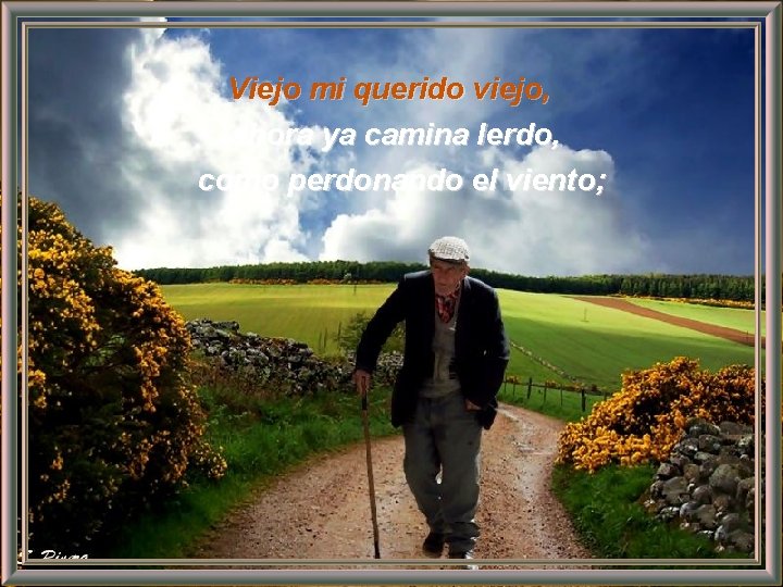 Canta Piero Transicin automtica Es un buen tipo