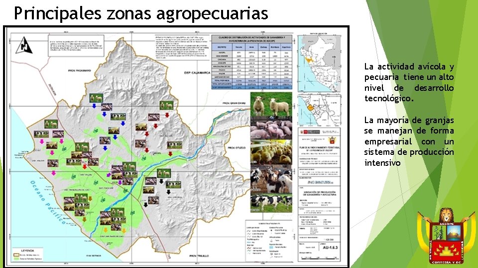 Principales zonas agropecuarias La actividad avícola y pecuaria tiene un alto nivel de desarrollo