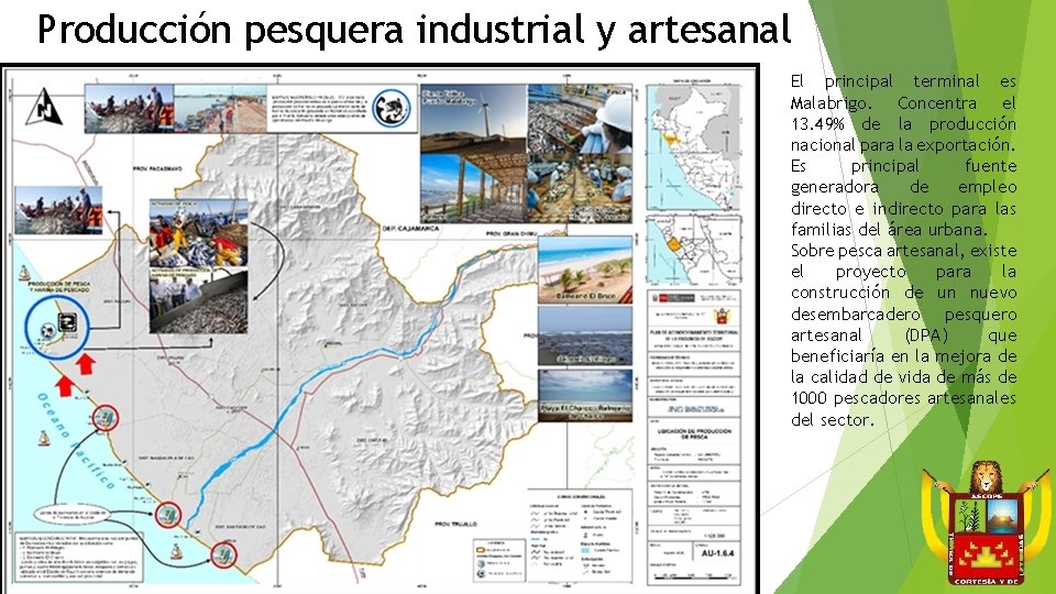 Producción pesquera industrial y artesanal El principal terminal es Malabrigo. Concentra el 13. 49%