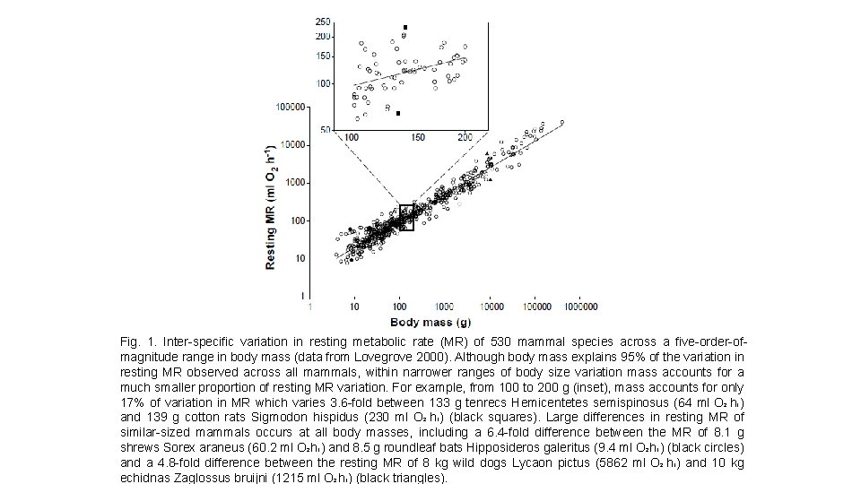 Fig. 1. Inter-specific variation in resting metabolic rate (MR) of 530 mammal species across