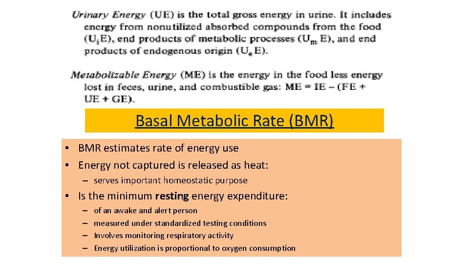 Basal Metabolic Rate (BMR) • BMR estimates rate of energy use • Energy not