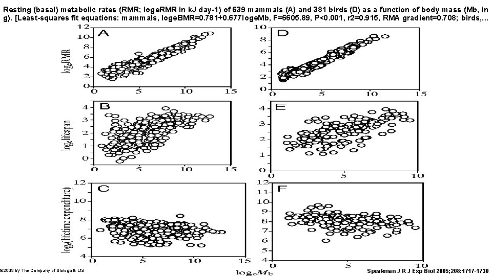 Resting (basal) metabolic rates (RMR; loge. RMR in k. J day-1) of 639 mammals